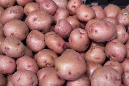 LR Potatoes