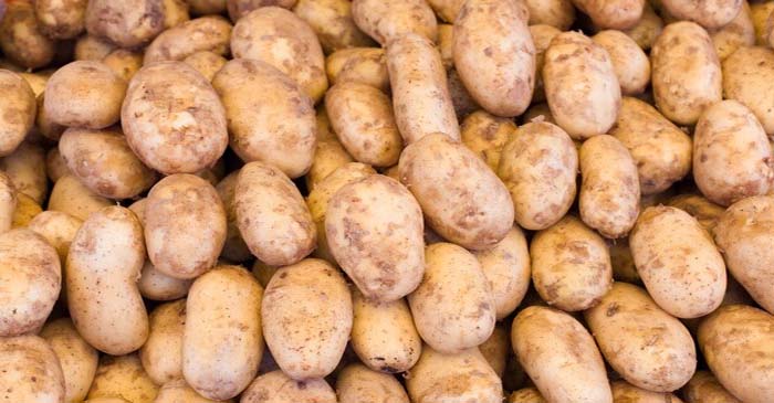 Agra Potatoes