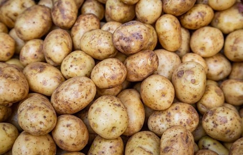 Fresh Potatoes